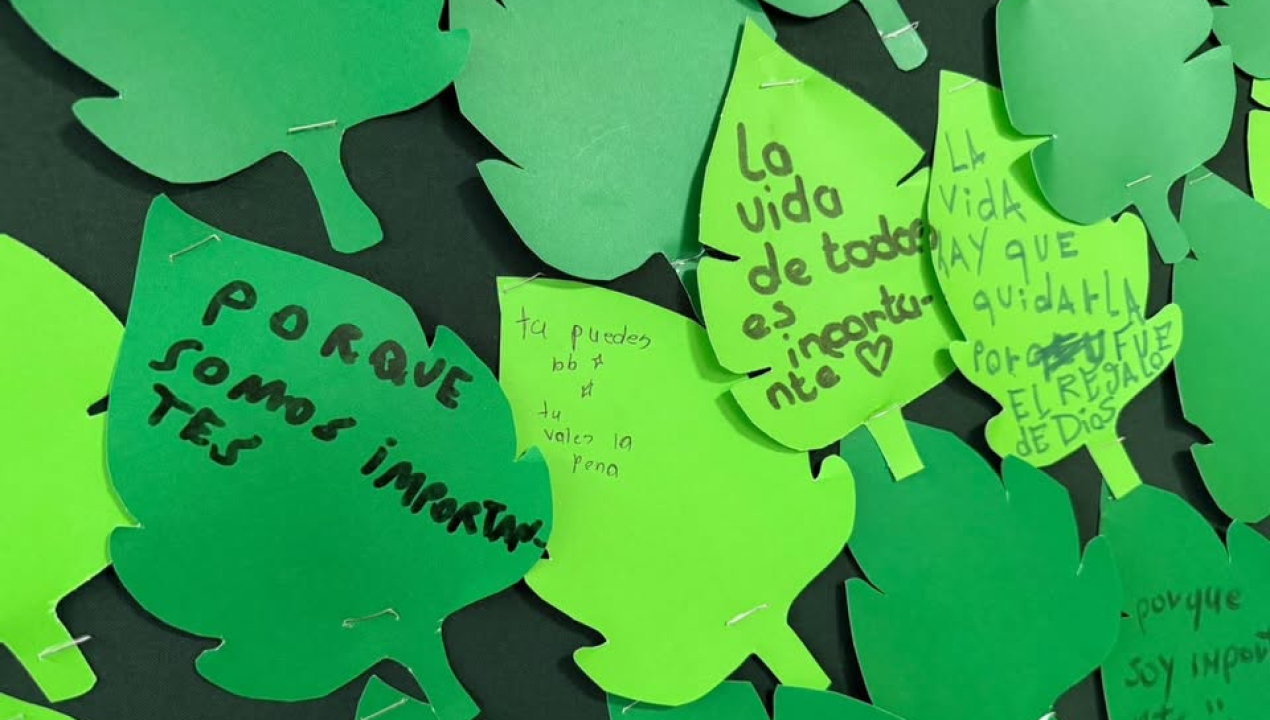 /hospital-de-lebu-refuerza-prevencion-del-suicidio-y-promocion-de-la-salud