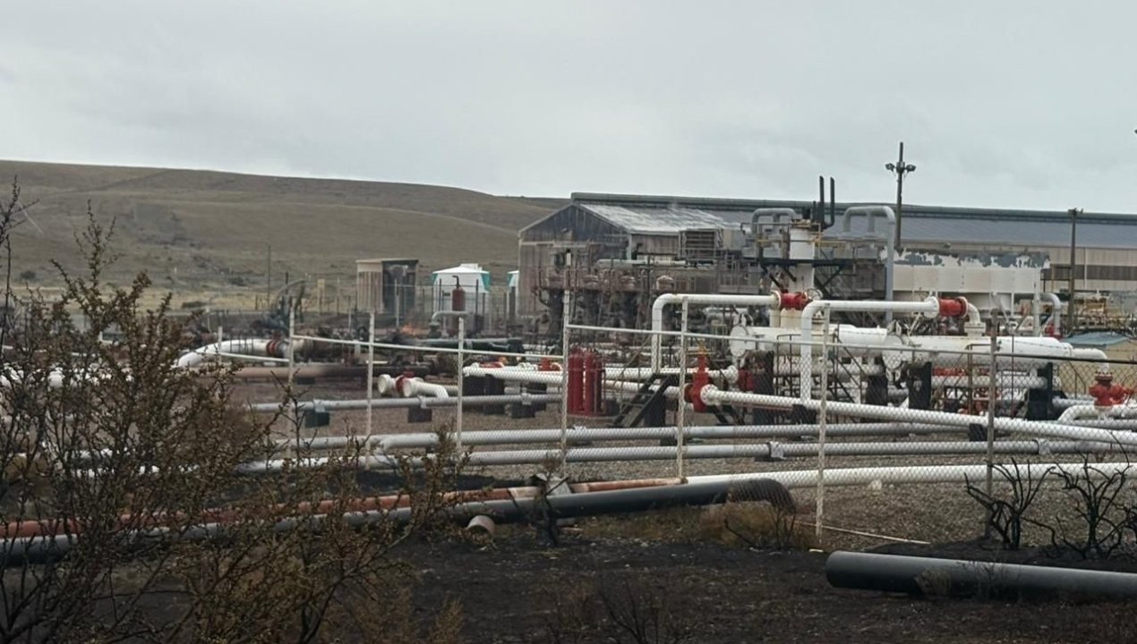 /declaracion-oficial-enap