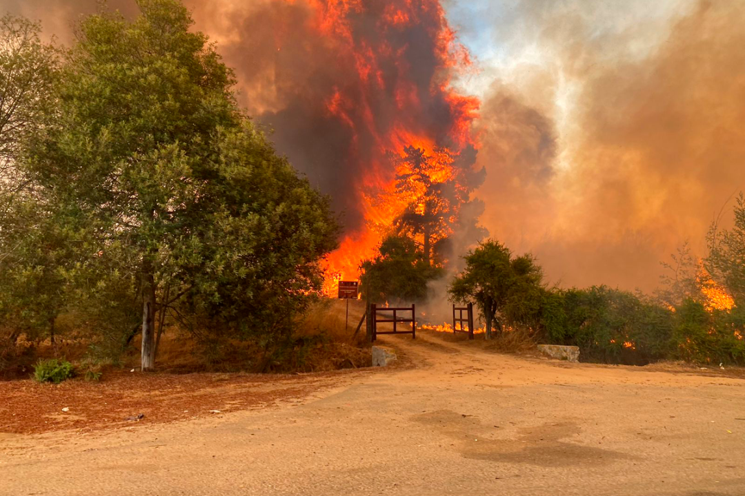 /regionales/region-de-valparaiso/lago-penuelas-incendio-forestal-consume-mas-de-500-hectareas-y-obliga