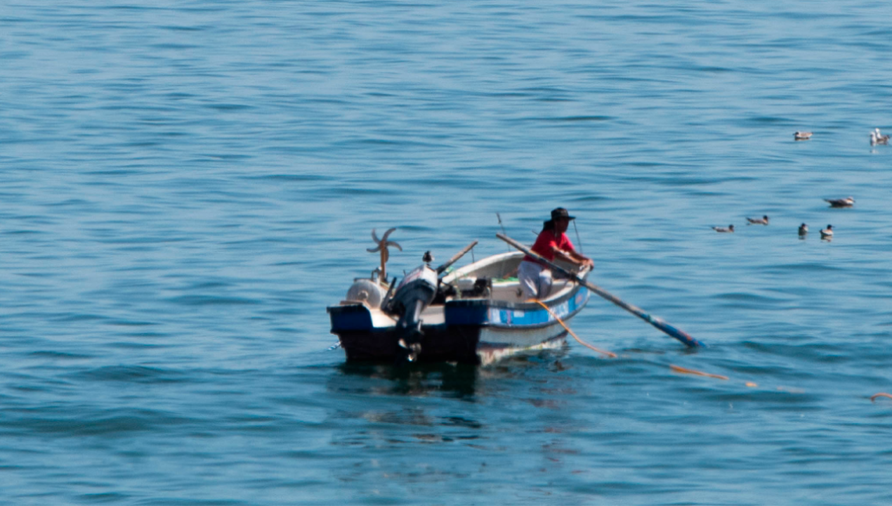 /regionales/region-de-tarapaca/pescador-iquiqueno-fue-mordido-por-tiburon-en-altamar