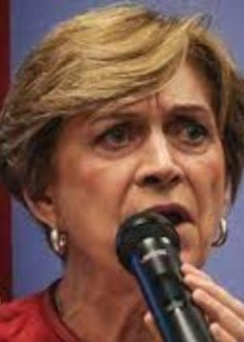Evelyn Matthei pidió renuncia de Ministro por dichos sobre reconstrucción en Valparaíso