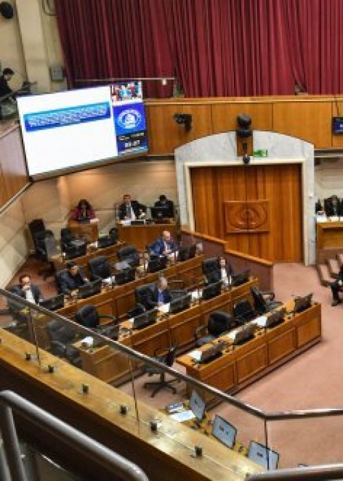 Papitos corazón y licencia de conducir: la ley que avanza en el Senado
