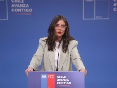 Vallejo afirma que la administración de Boric debió funcionar como “Gobierno de emergencia” desde el primer día