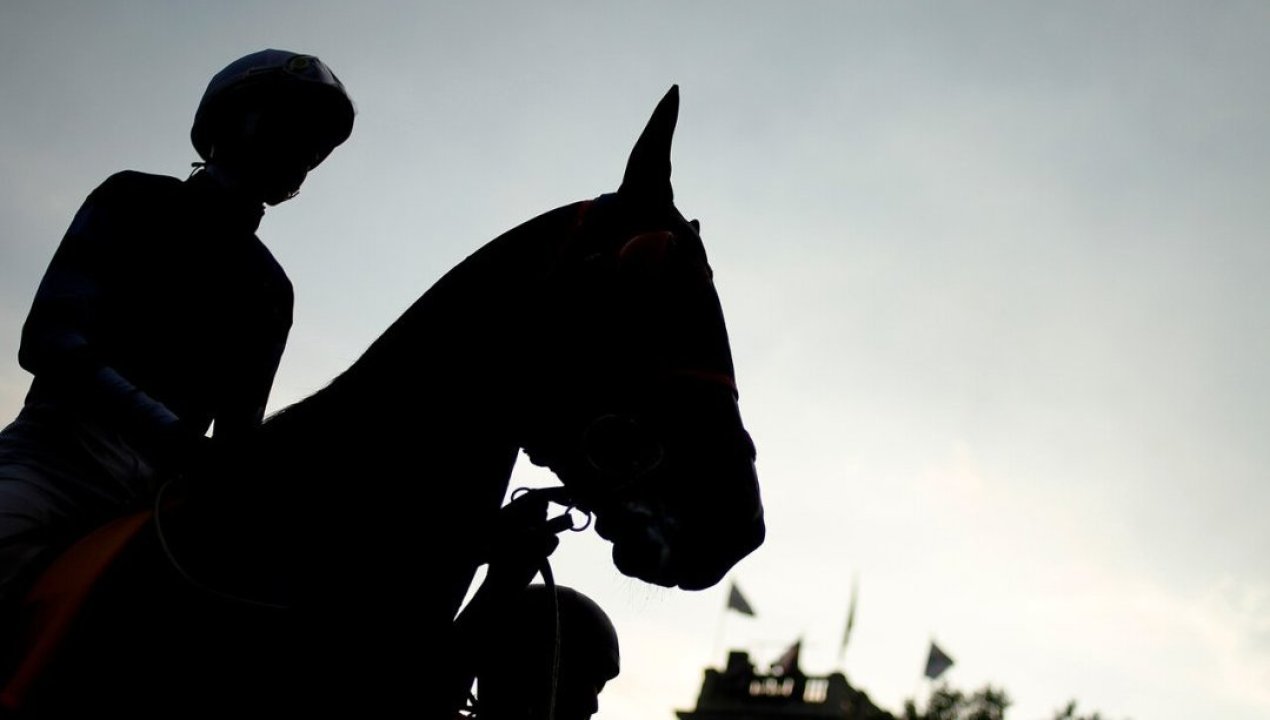 /regionales/hombre-fallece-tras-violenta-pelea-en-carrera-de-caballos-en-cauquenes