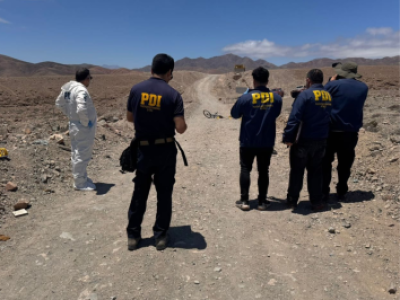 Hombre fue hallado muerto presuntamente por ataque de jauría de perros en ruta a Vallenar