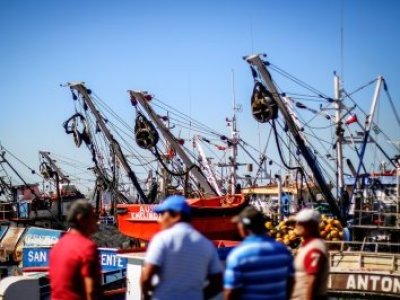 Polémica entre expertos y Subpesca por la Ley de Fraccionamiento pesquero