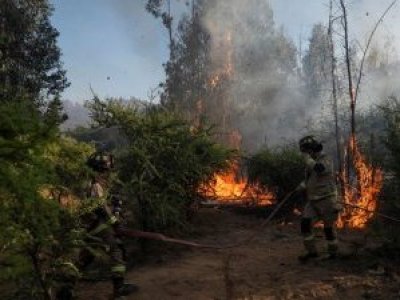 Autoridades alertan récord de detenidos por incendios forestales en Chile