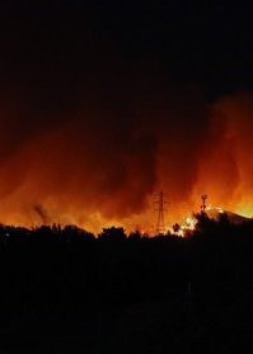 Incendio forestal avanza desde San Jorge hacia Palomares en Concepción y vecinos se resisten a evacuar