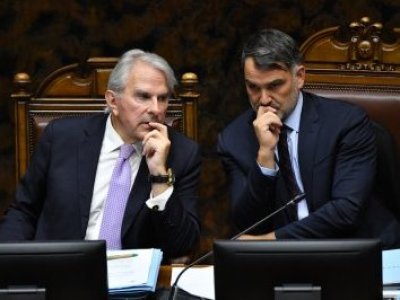 Senador Macaya pone en duda reajuste al sector público por emergencia de incendios