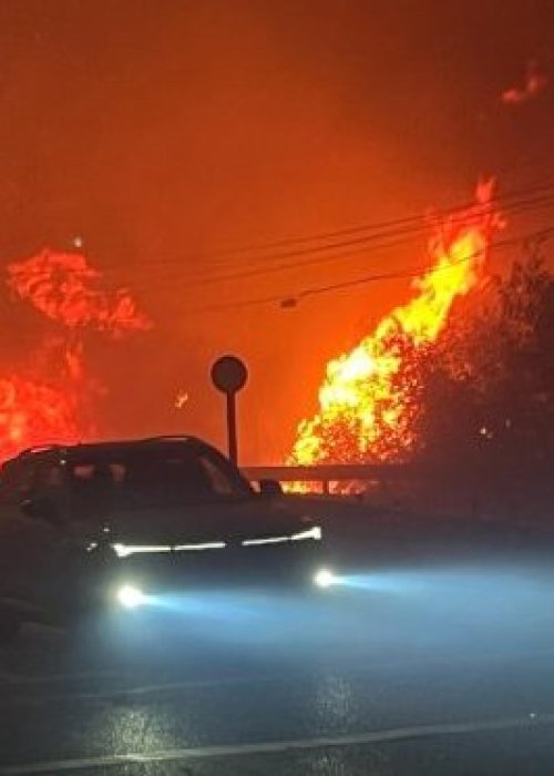 Incendios forestales: Gobierno actualiza balance y refuerza medidas de emergencia en el sur