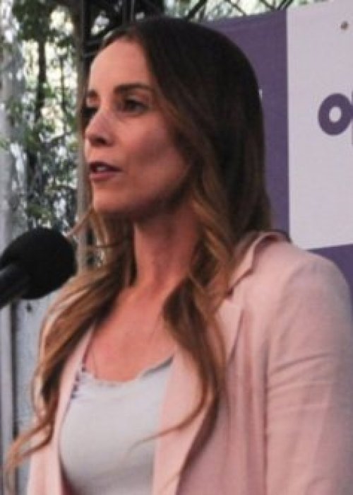 Sedini acusó al presidente Boric de 