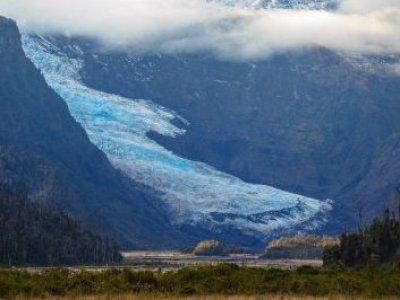 “Es un desmantelamiento”: 247 organizaciones en alerta por retiro de decretos medioambientales