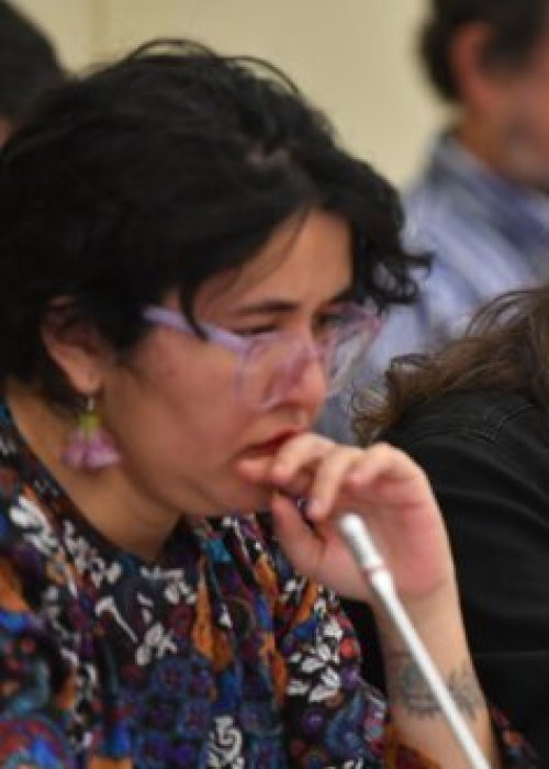 PC Y FA piden dividir la discusión de las reformas de reconstrucción