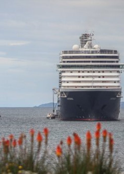 Minsal mantiene en aislamiento preventivo a dos chilenos tras brote de hantavirus en crucero
