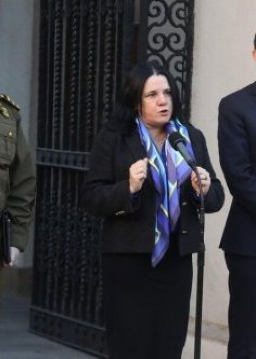 Plan de Seguridad Nacional: ministra Steinert anunció aumento en el sueldo de carabineros y PDI
