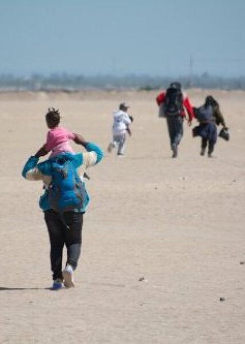 Gobierno concretó la expulsión de 80 personas en nuevo vuelo de control migratorio