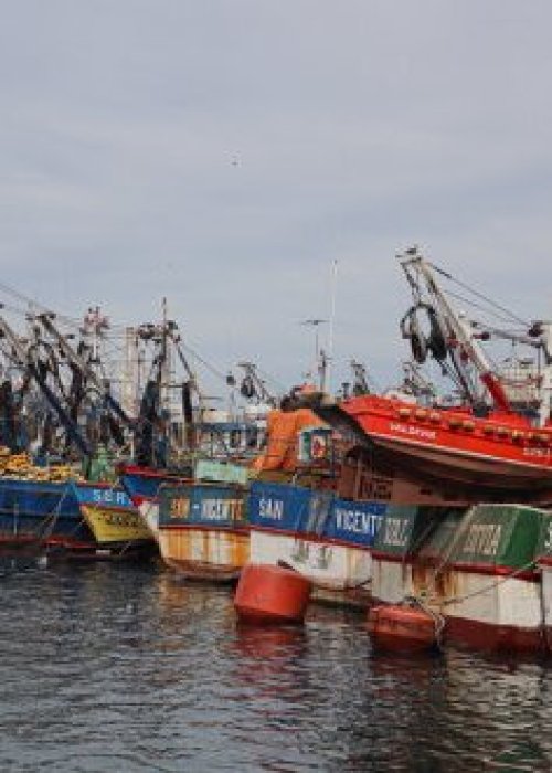 Bono de apoyo para la pesca artesanal por alza de combustibles