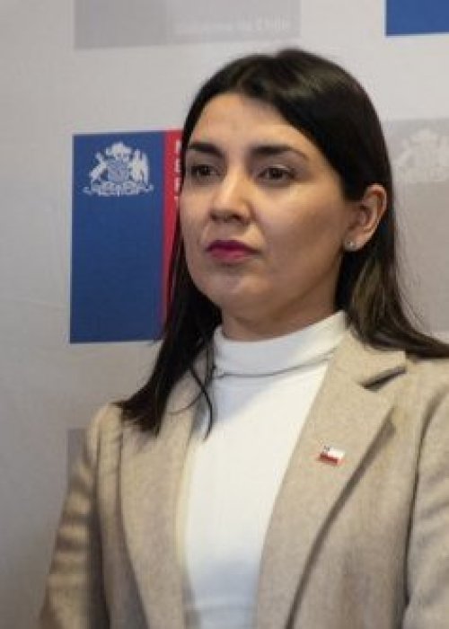 Ministra Marín ordena sumario tras denuncias por irregularidades presupuestarias