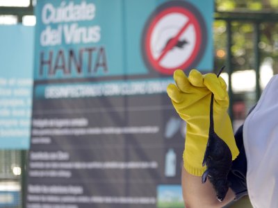 Ministerio de Salud decreta Alerta Sanitaria desde Atacama hasta Magallanes por hantavirus
