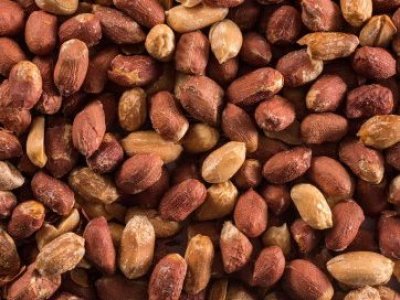 Minsal emite alerta alimentaria por presencia de aflatoxinas en maní tostado