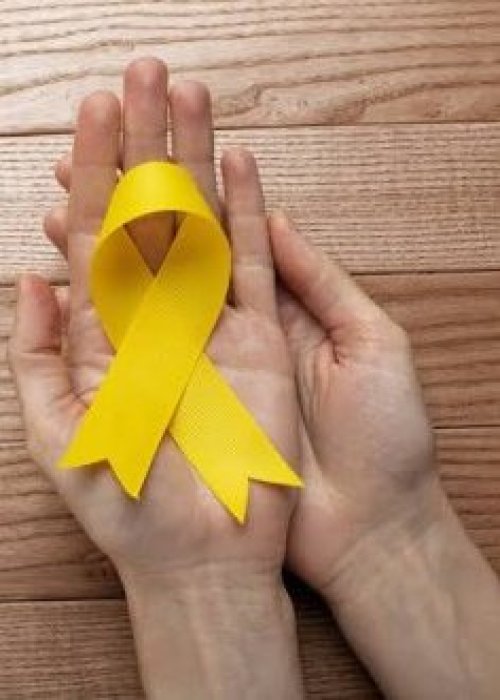 Mes de la prevención del suicidio: En chile más de 1.800 personas se quitan la vida al año