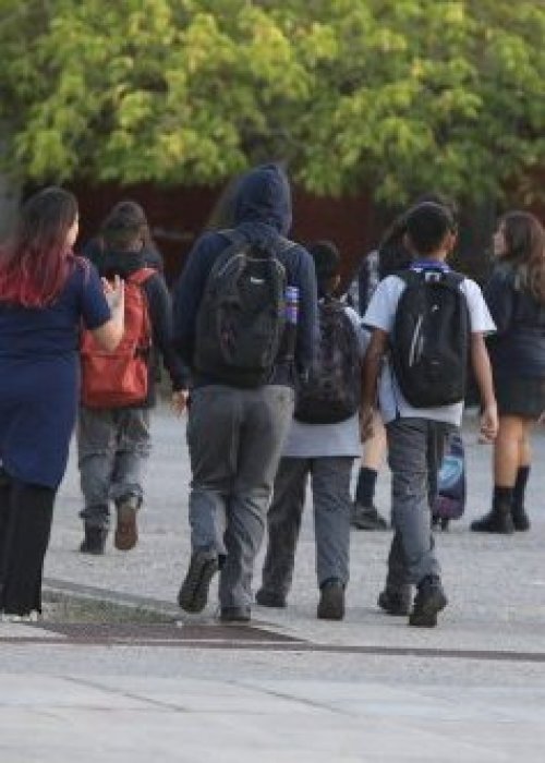 En Chile el 63% de los escolares públicos presenta historial de caries frente al 29% de los colegios privados