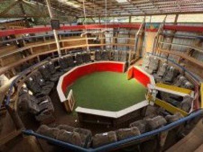 PDI desarticula centro de pelea de gallos en Arauco: Hubo 54 detenidos