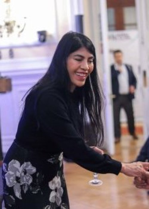 Por primera vez Institutos Profesionales y Centros de Formación Técnica podrán participar del FOVI