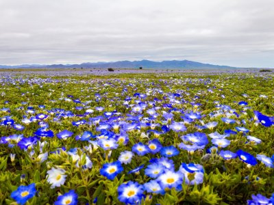 Regiones al Aire: Temporal, turismo y protección del patrimonio natural