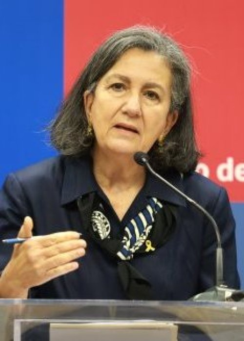 Ley Sanna sumará permiso laboral para acompañar a menores tras hospitalización por intento de suicidio