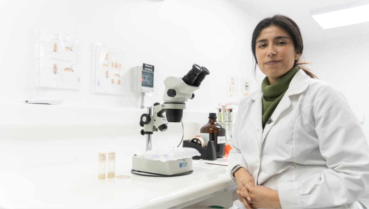 /cientifica-de-la-ua-recibe-distincion-stem-por-su-aporte-a-la-region